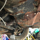Illustration for article titled West Virginia Man Discovers Incredible 1967 Porsche 911 Buried Under A Fallen Barn